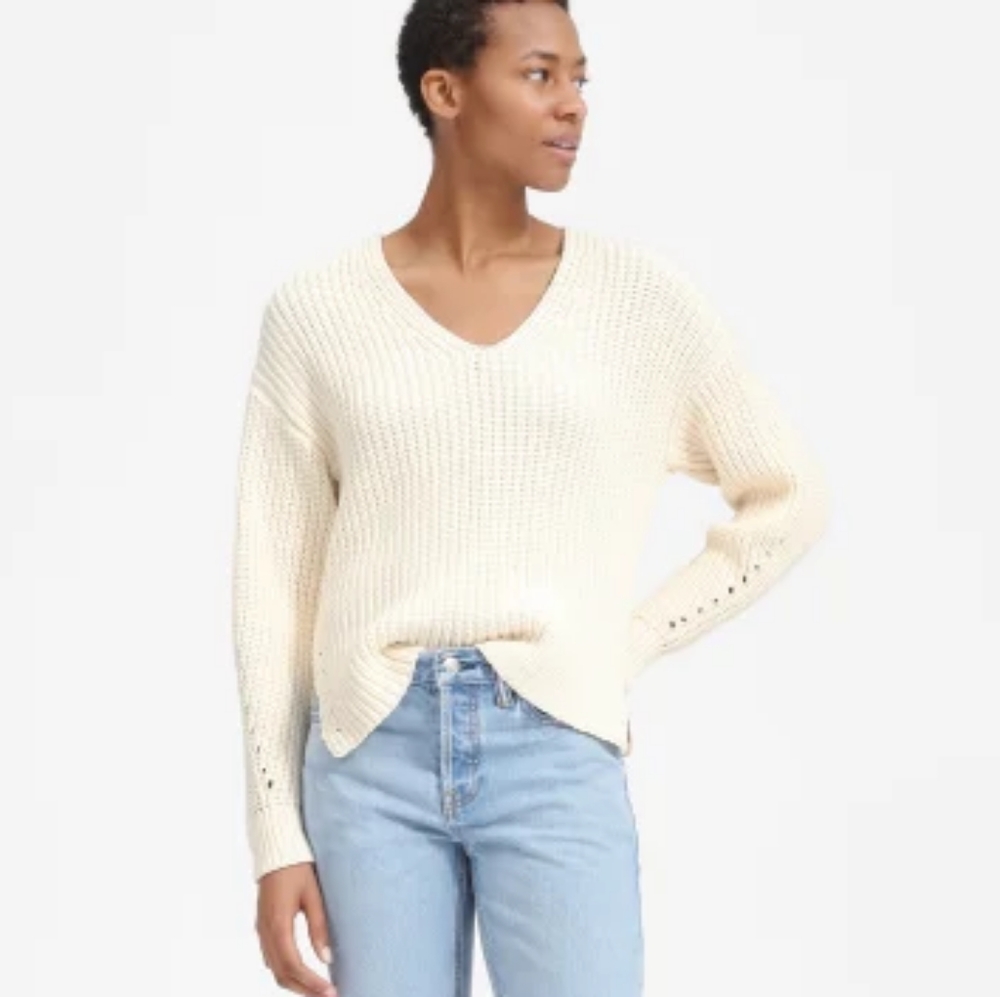 Everlane Texture Cotton V Neck Sweater